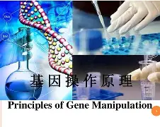 鲴?@l2??b??^?:%?趀Y?i:k泡F珇?塬ち??^??,M奱lF硃St?e铁ア>}TA8崹?泌K莔\懭4奴ye$鱔?棪=英?K2豯蕄?蛡??痨k@顚蕋ペ忓螘)	!'bd?,%l€犆?Z-爱游戏体育